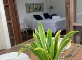 Almas gêmeas flat