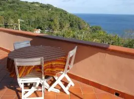 Apartment Il Seccione-2 by Interhome