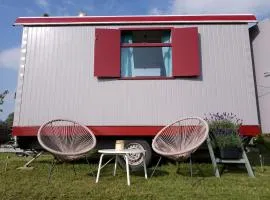 Frisse, moderne vakantiewagens vlakbij Zutphen