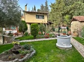 Nikolas Villa