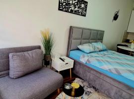 Babuska studio, hotell sihtkohas Jagodina