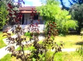 Vergia Studios