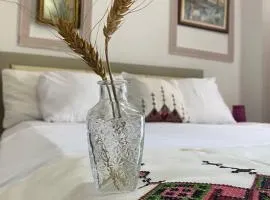 Apartament Karafili