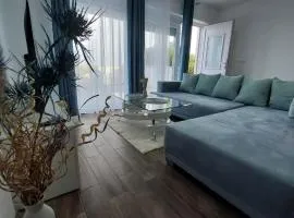 Apartments Mišković