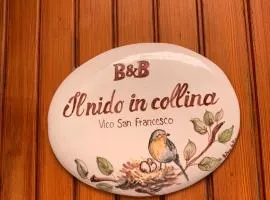 Il Nido in Collina