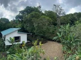 Monte Santo Y Café