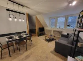 Bohemi Apartman CZ