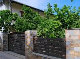 John's House - Chorto Pelion