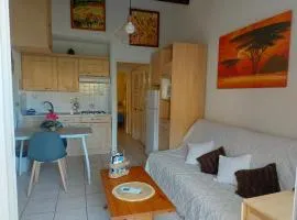 Cap d'Agde, appartement bord de mer, 50 m plage de la Roquille, climatisé et WIFI,
