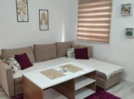Apartman Kasic