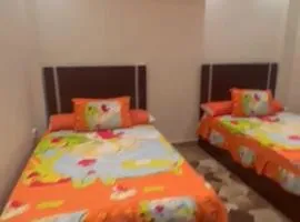 الشيخ زايد