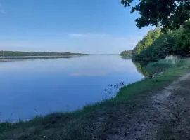Žalioji vila