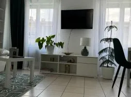 Stet Teodora