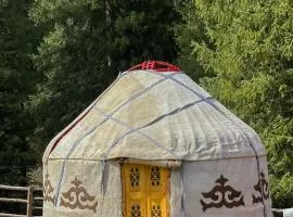 Kolsay Tanbalytas YURTS