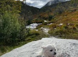 Hardanger Camping Allhovden Mountain & fjord
