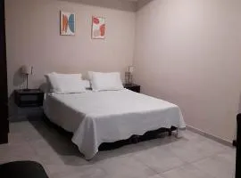 Hermoso departamento en Ciudad de Mendoza