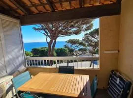 Vue mer appartement ,Plage la nartelle,avec loggia, sainte-maxime, France