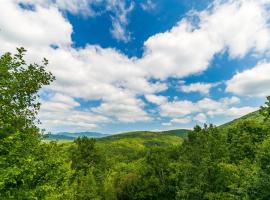 Hawks Hideaway - Full Mountain Views Game Room, hotel i Mineral Bluff