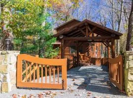 Wine Down - Blue Ridge GA - Pet Friendly - Cozy Cabin, Spacious Skies, Great Privacy, Hot Tub - Cherry Log, GA