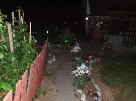 Cabana Poiana Calineasa