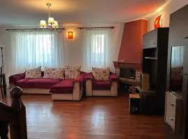 Vila de inchiriat aproape de Therme Balotesti