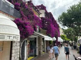 LUXURY HOUSE "VILLA POMPEIANA" Via CAMERELLE CON TERRAZZA VISTA MARE