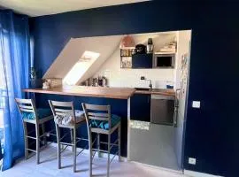 Apt central entre stade de France et villette
