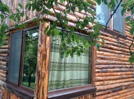 La tataie Nucșoara, camping en Nucşoara