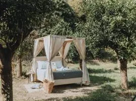 Star Sleep Vryses -Orange Grove