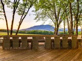 Kelseyville Home with Private Pool and Vineyard Views!