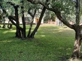 La Teodolinda