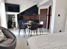 Apartman MILA TAR