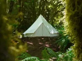 Wander Camp Olympic