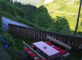 Romantische Ferienhütte Nationalpark Kalkalpen, sonnig, 2 Schlafzimmer, Wlan