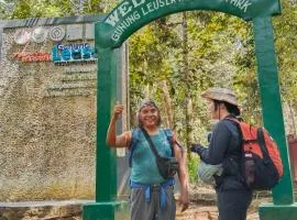 Jhony's Backpacker-Guest House & jungle tour booking with us