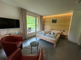 Studio Blitzingen, Castle A1, mullivannidega hotell sihtkohas Blitzingen