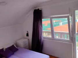 Kursumlijska banja apartman 4+1