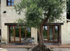 La Tana del Grifo - Podere Amodeo