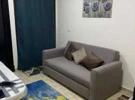 شالية غرفة مكيفة وريسبشن للعائلات بقرية جراند هيلز الساحل الشمالي الاتصال قبل تأكيد الحجز E46 grand hills