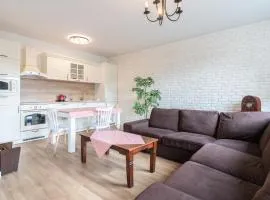 Retro Milenium Park Apartment by BookingHost