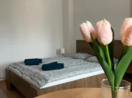 Apartman VAJB