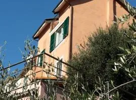 Grazioso appartamento nel verde