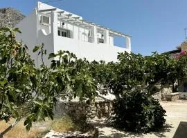 Villa Telendos