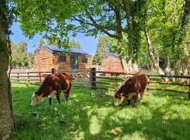 Woodland Shepherds Hut - 'Saga'