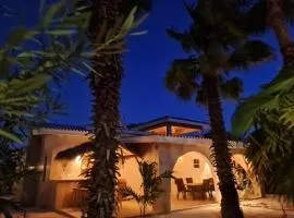 13 Palm Tree