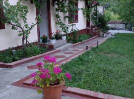 Casa Dragoi din Socolari, 218, Caras - Severin, hotel Szakalárban