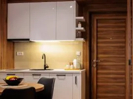 Kragujevac center apartments