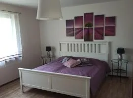 Apartament nad Jeziorem Kamień