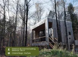 Cabin Zoobox 56