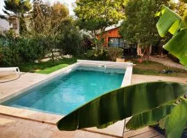 La cabane au fond du jardin